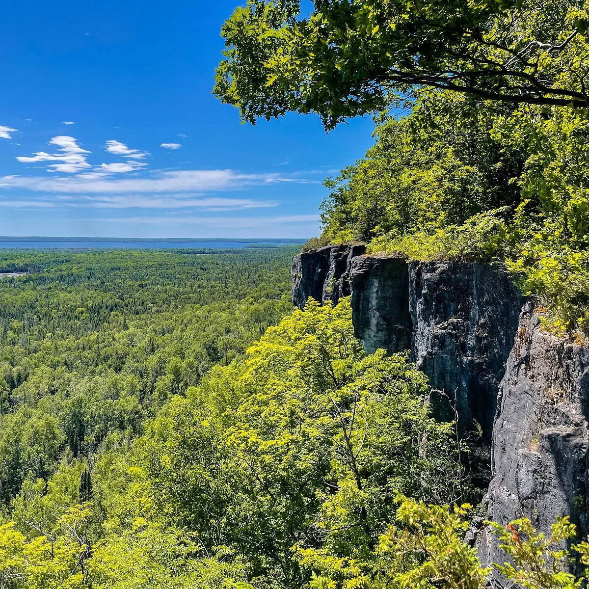 Cup and Saucer Trail