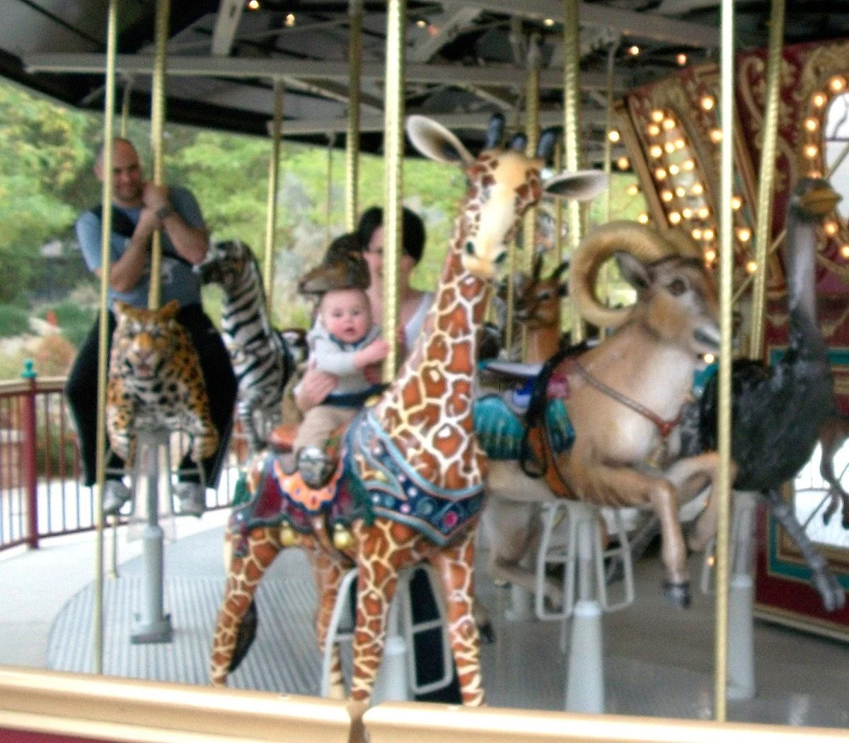 Flying Horses Carousel