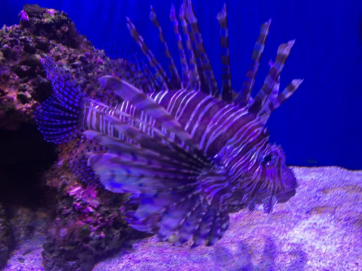 Marine Science Center