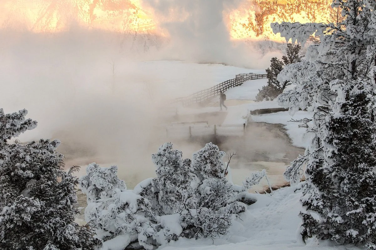 Mammoth Hot Springs