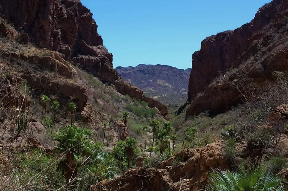 Nacapule Canyon