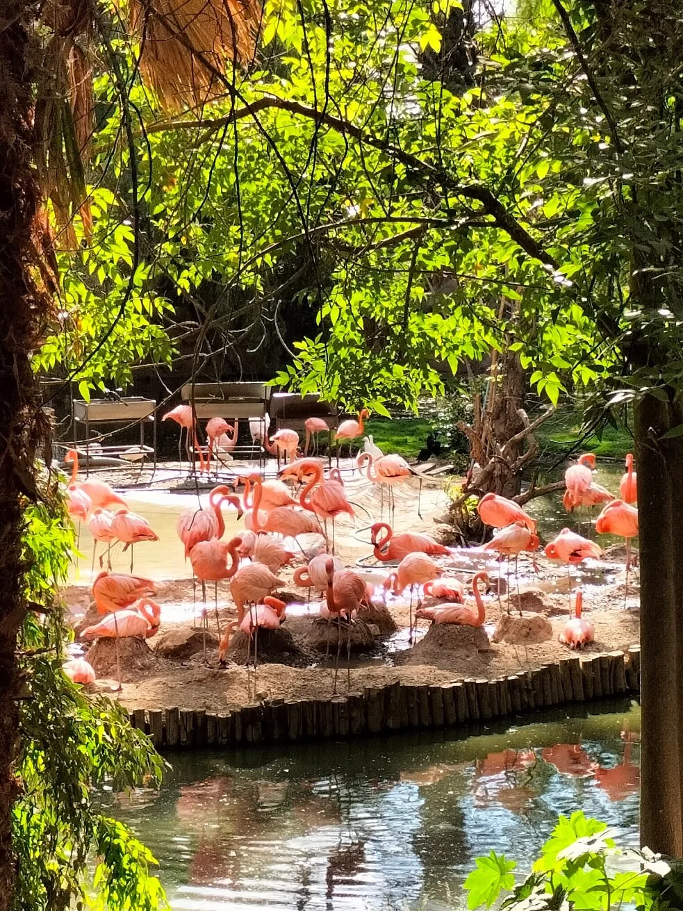 Parque Zoológico de León
