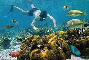 Culebrita