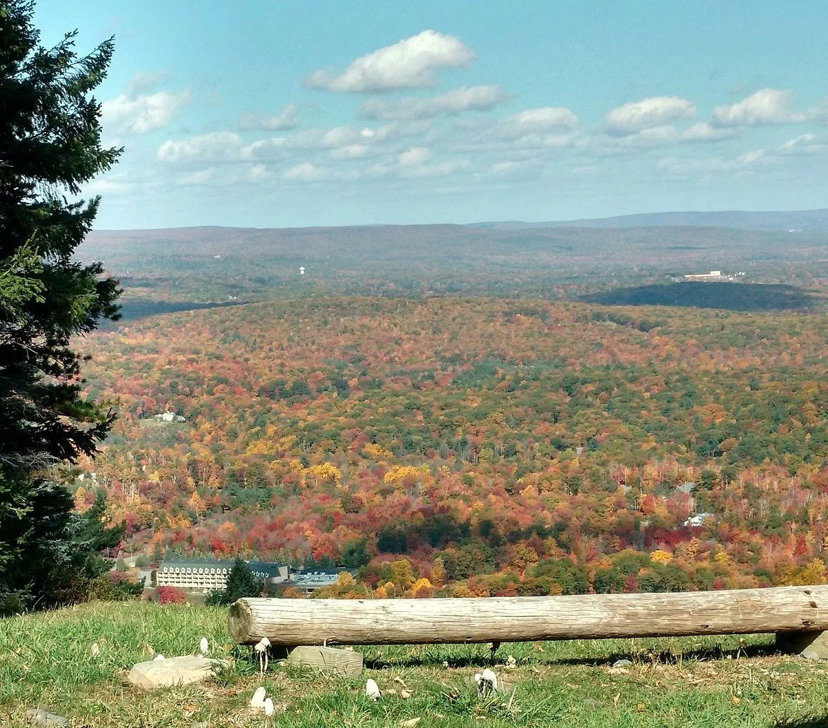 Big Pocono State Park