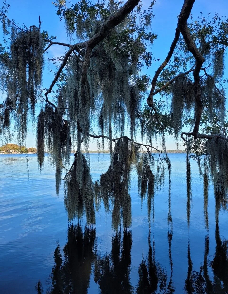 A. L. Anderson Park