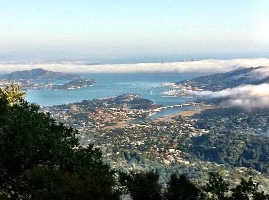 Mount Tamalpais State Park