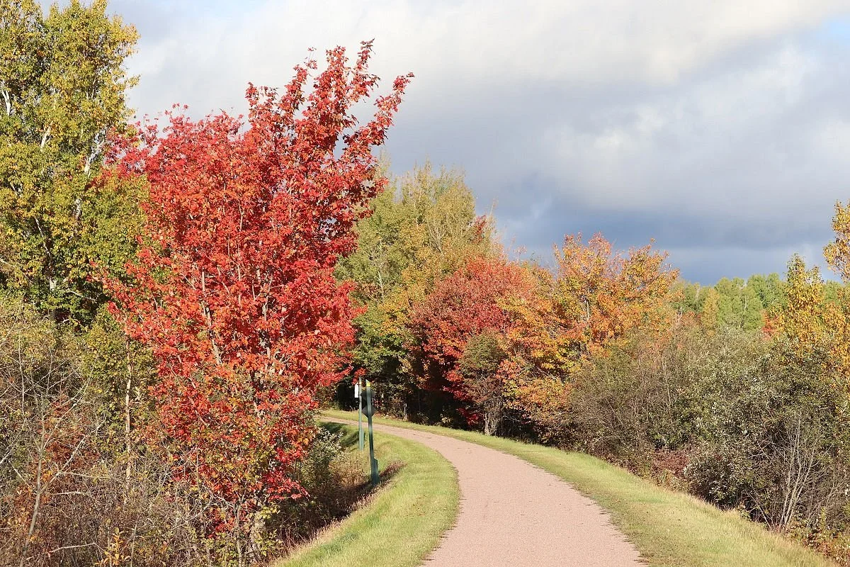 Confederation Trail