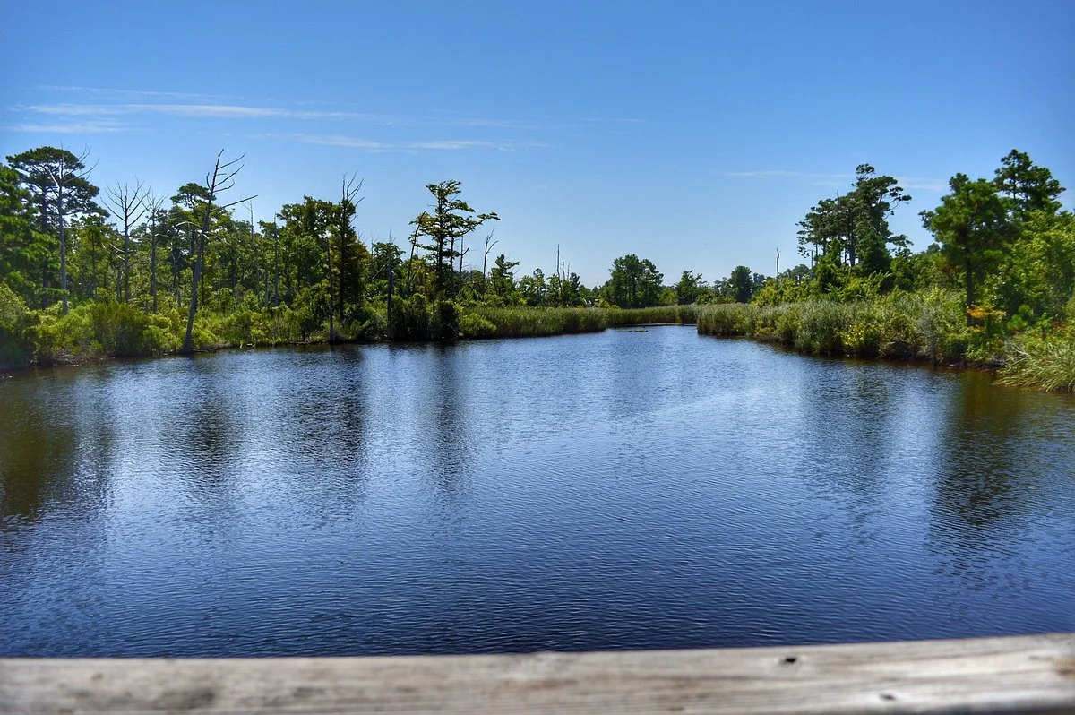 Sandy Run Park