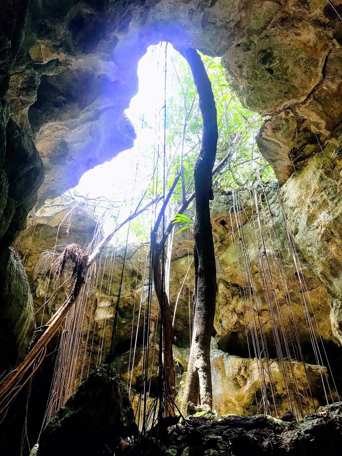 Cueva del Puente
