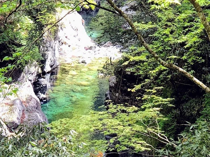 Yasuike Valley