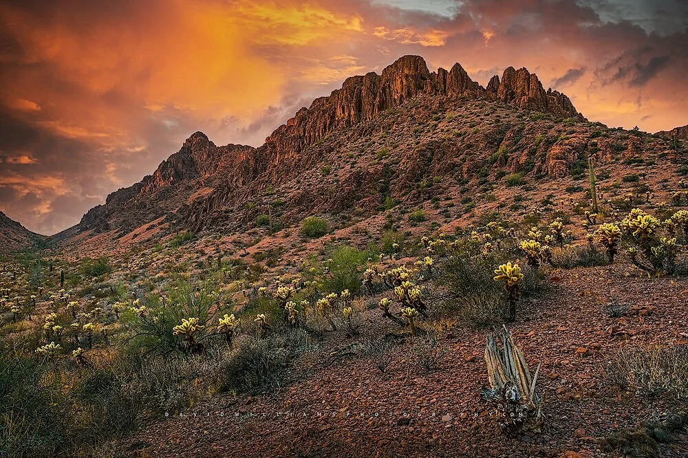 Kofa National Wildlife Refuge
