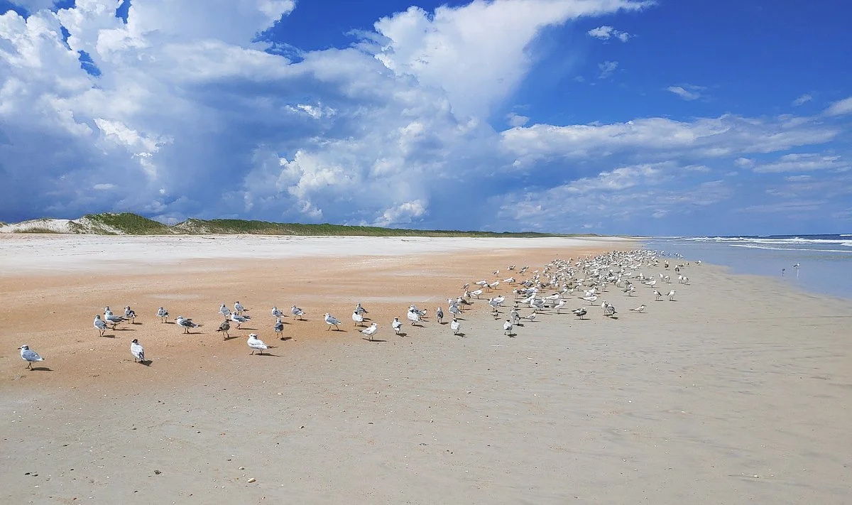 Anastasia Island