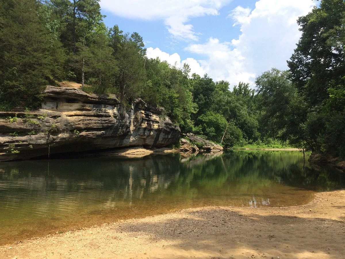 Wild Bill's Outfitter