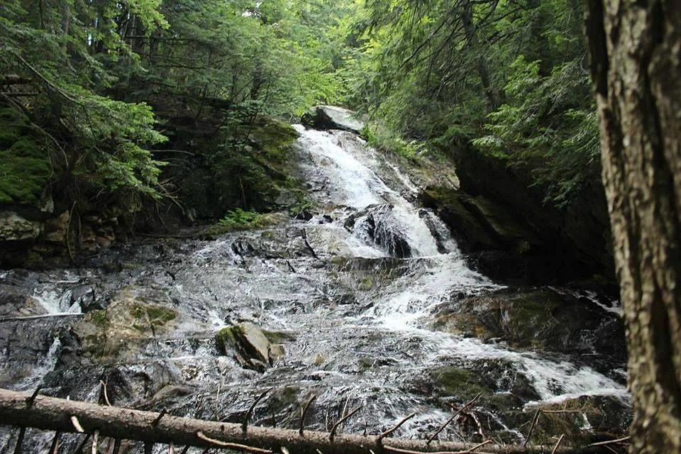 Thundering Brook Falls Trail