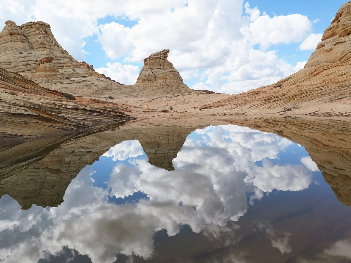 The Wave at Coyote Buttes