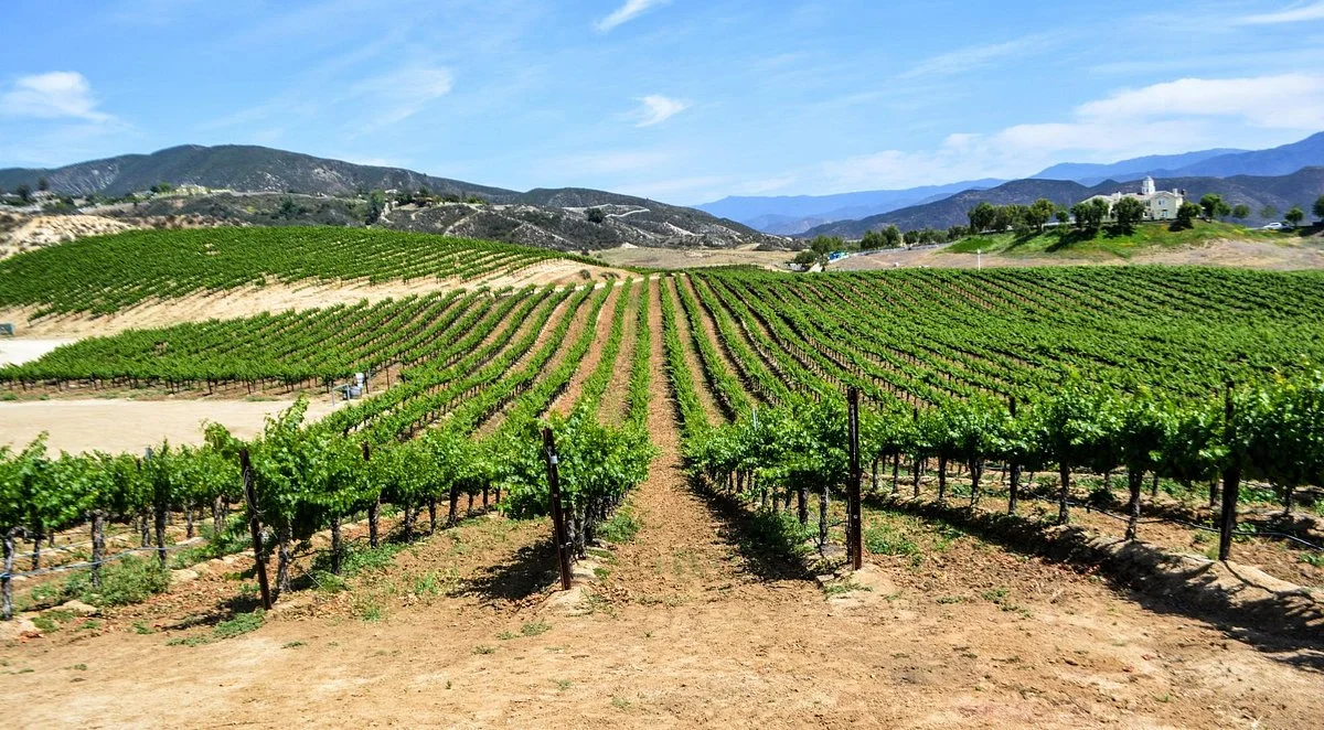 Leoness Cellars