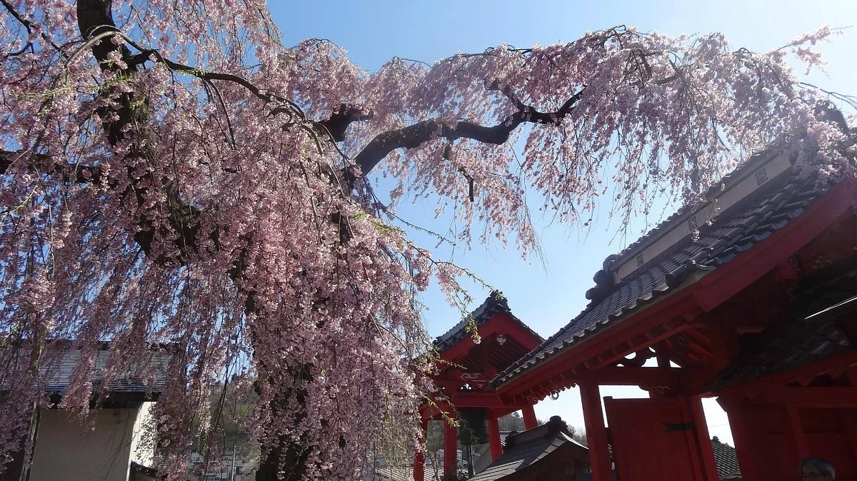 Myokanji Temple