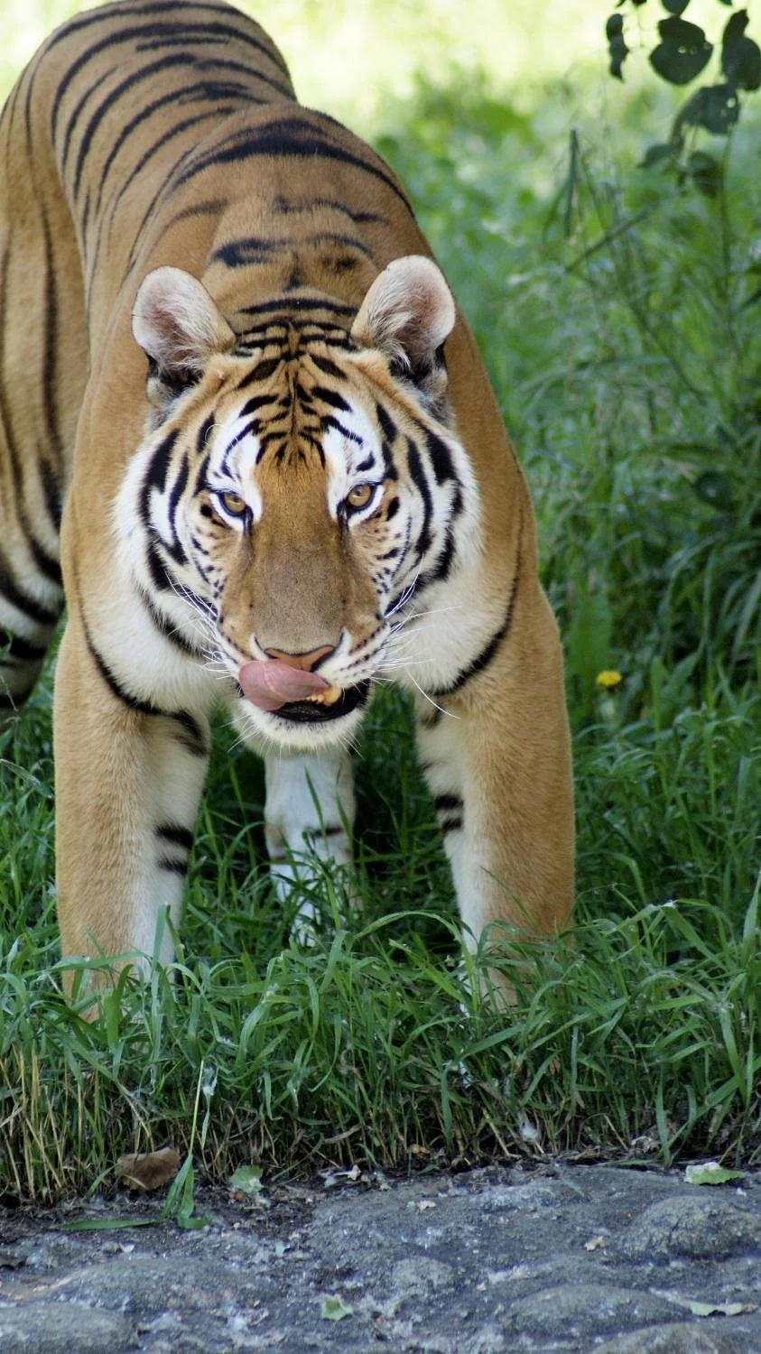Idaho Falls Zoo