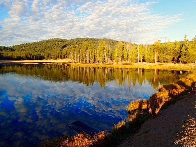 Harriman State Park