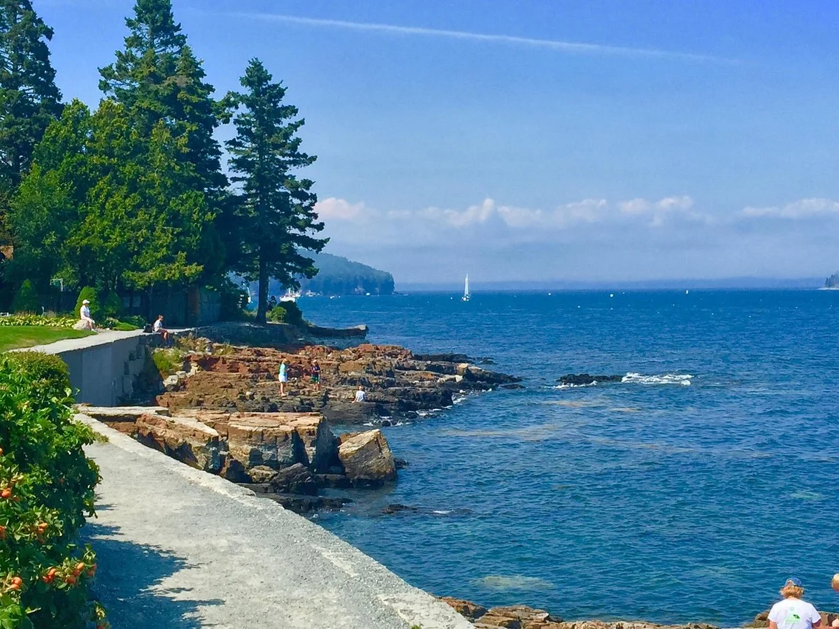 Ocean Trail