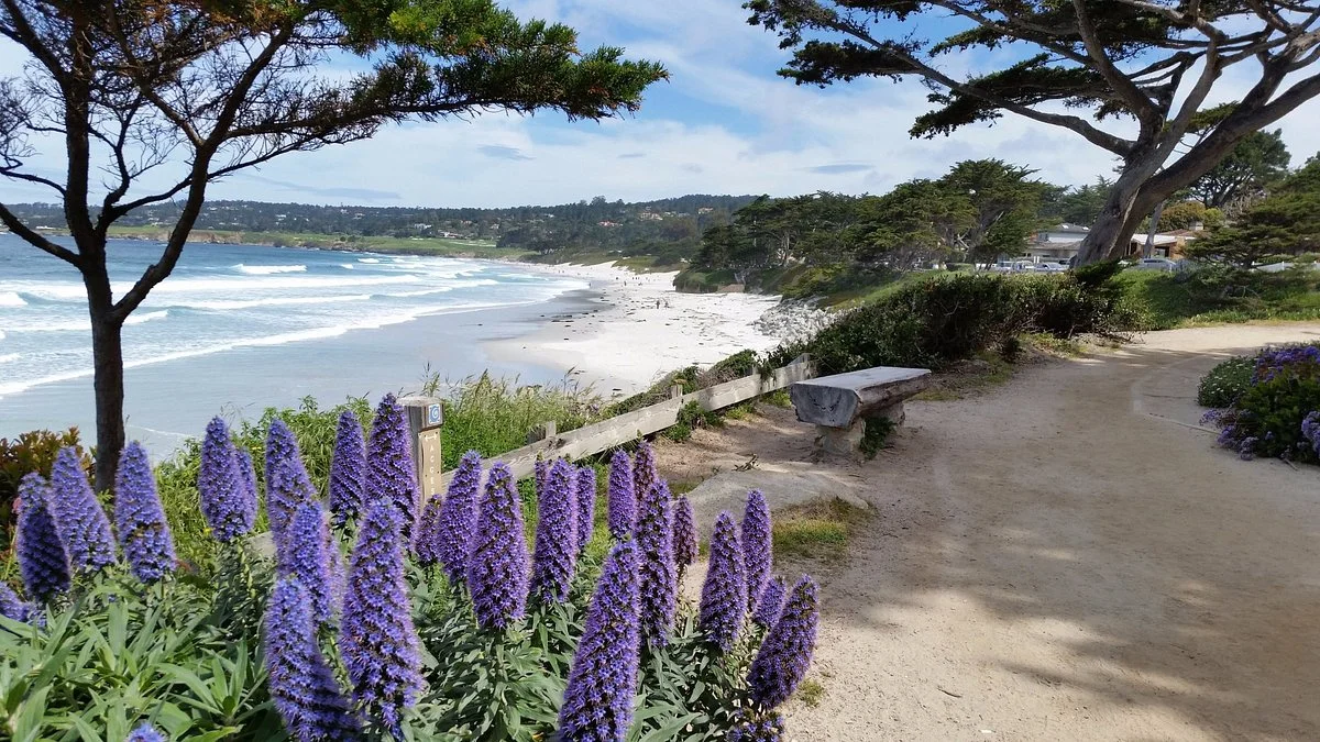 Scenic Road Walkway
