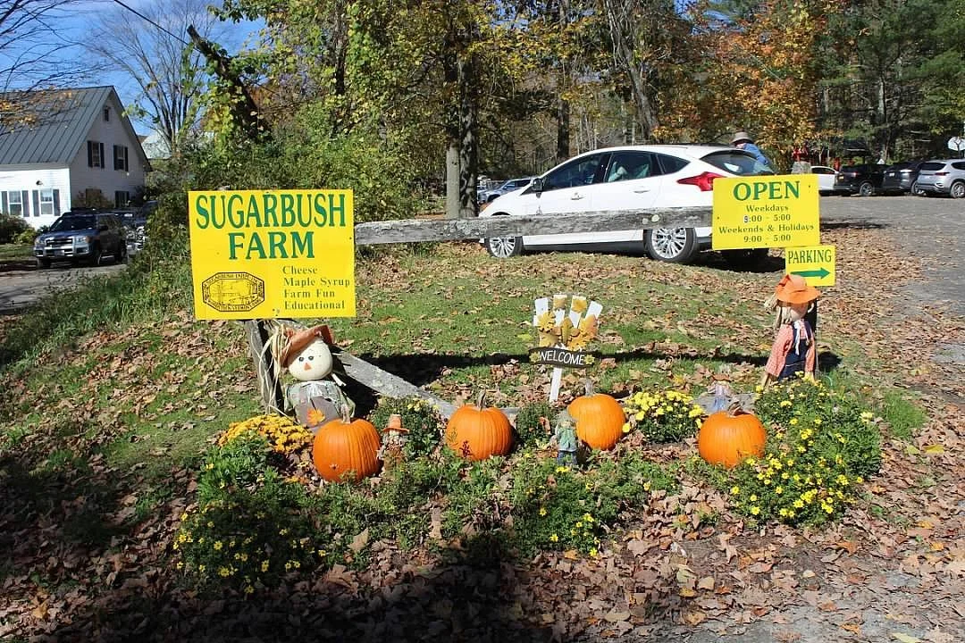 Sugarbush Farm