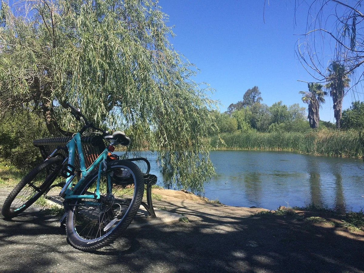 Newhall Community Park