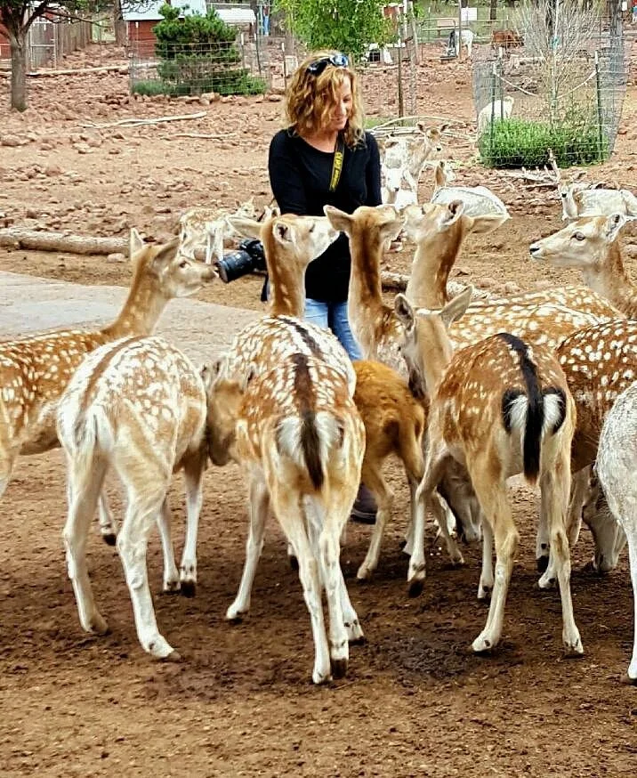 Grand Canyon Deer Farm