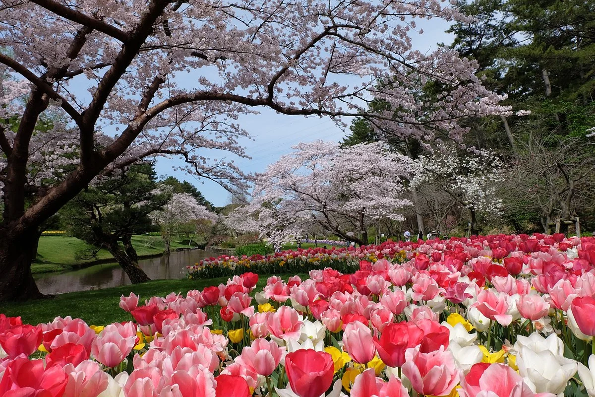 Hamamatsu Flower Park