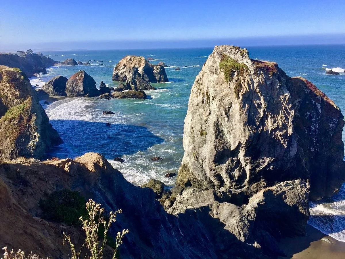 Sonoma Coast State Beach