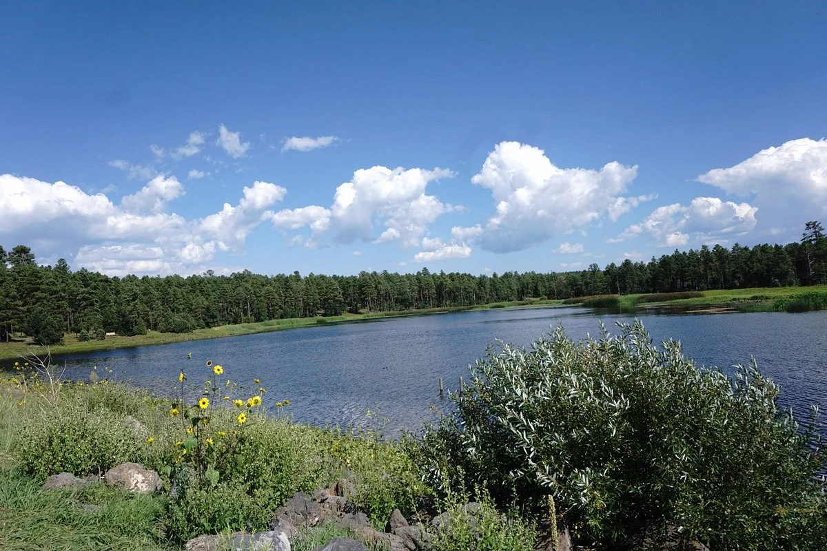 Woodland Lake Park