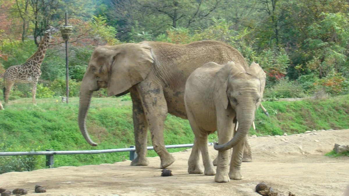 Pittsburgh Zoo & Aquarium