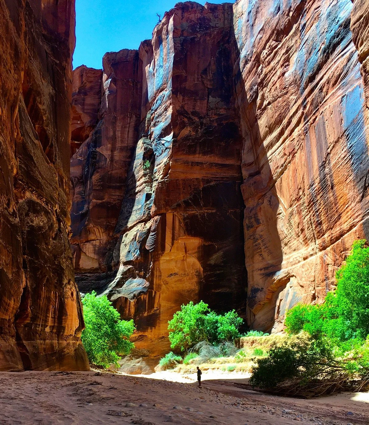 Wire Pass Trail (Buckskin Gulch Access)
