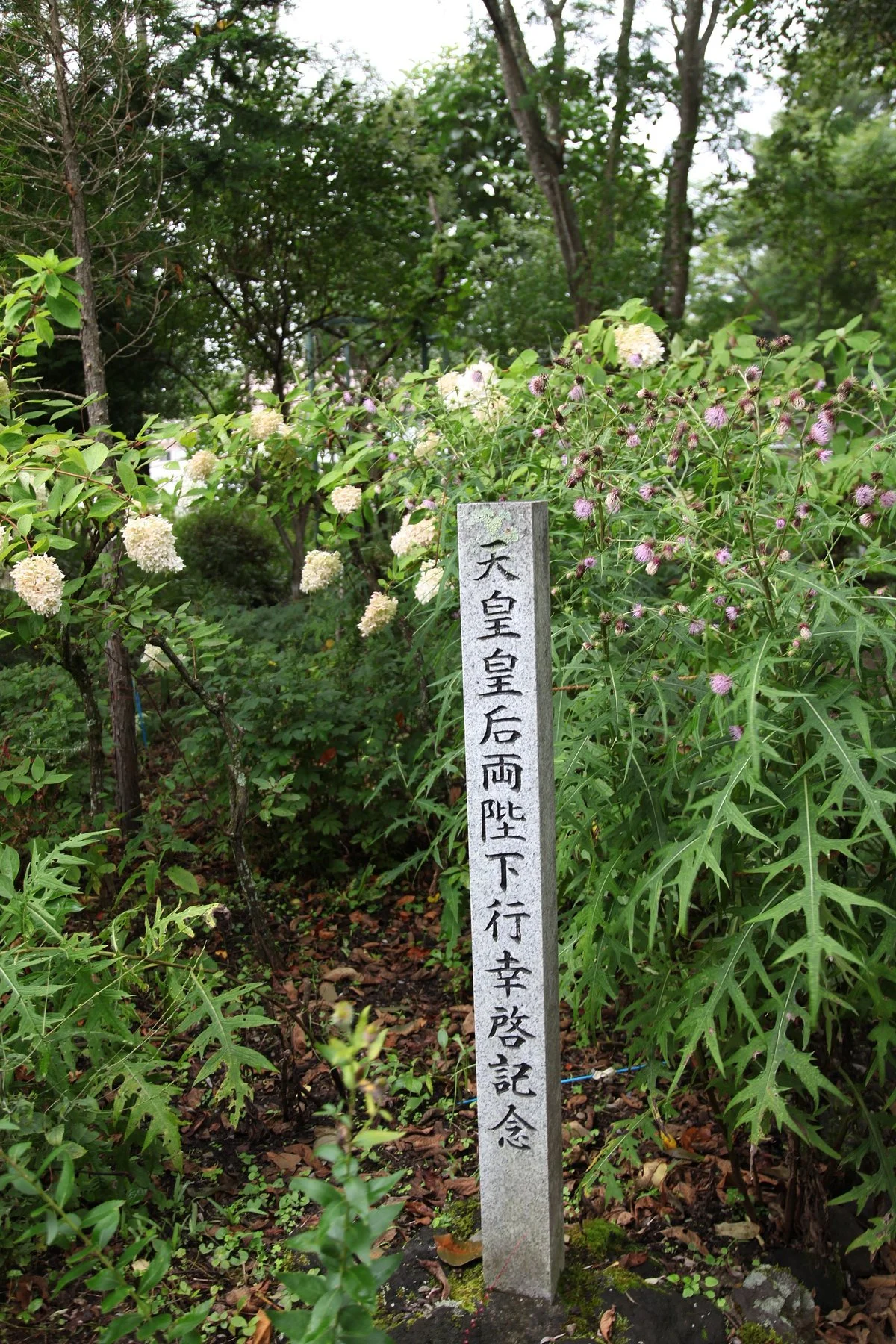 Karuizawamachi Botanical Garden