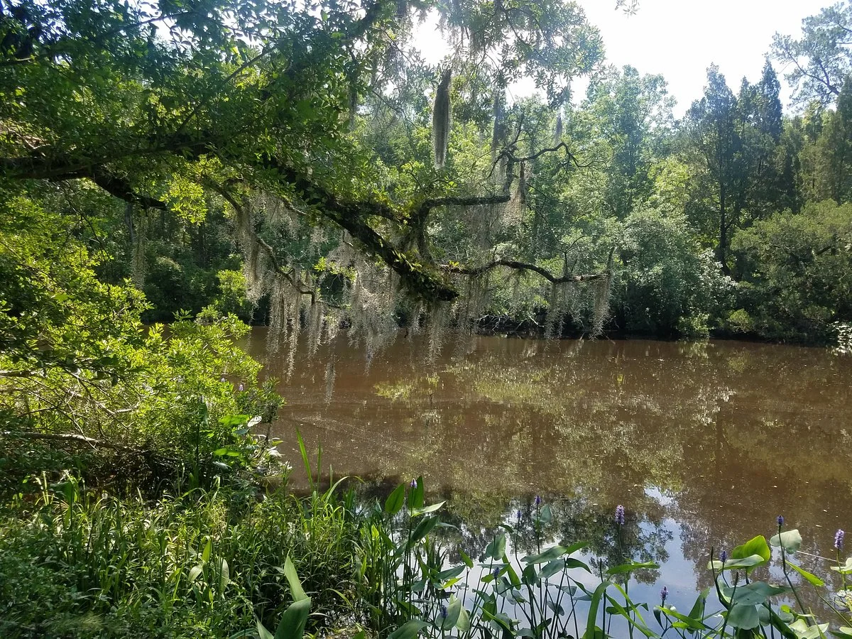 Colonial Dorchester State Historic Site