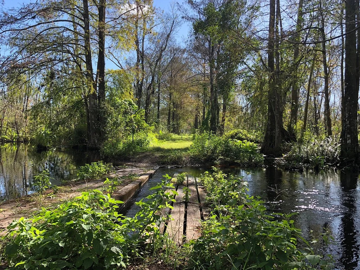 CREW - Bird Rookery Swamp Trails
