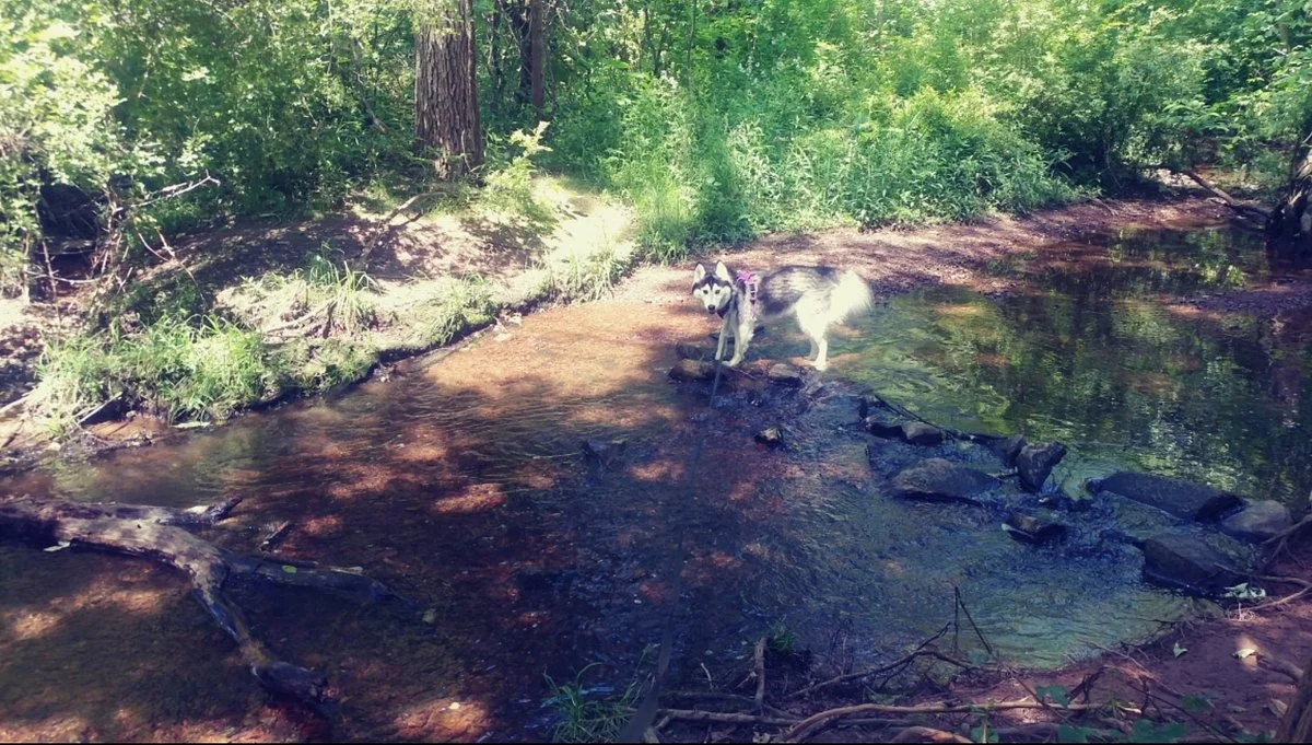 Ashburn Park
