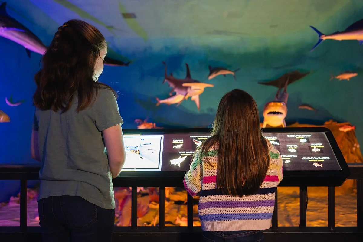 Museum of Coastal Carolina
