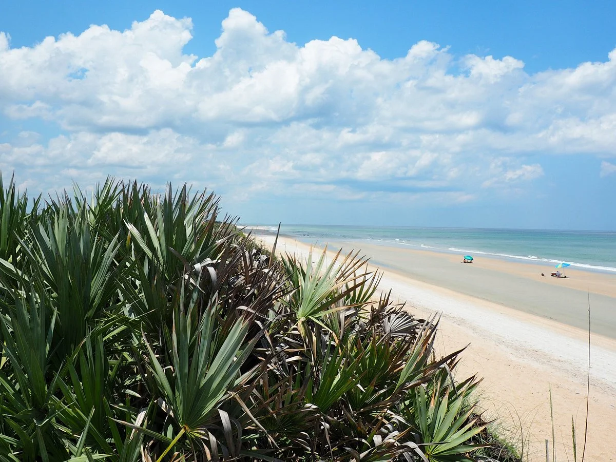 Turtle Mound National Historic Site