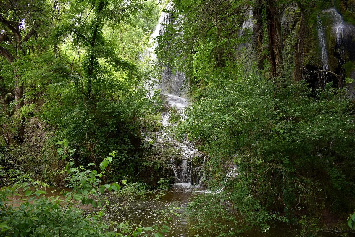 Gorman Falls