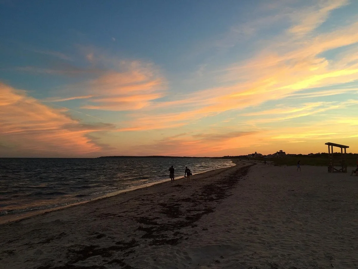 Seagull Beach