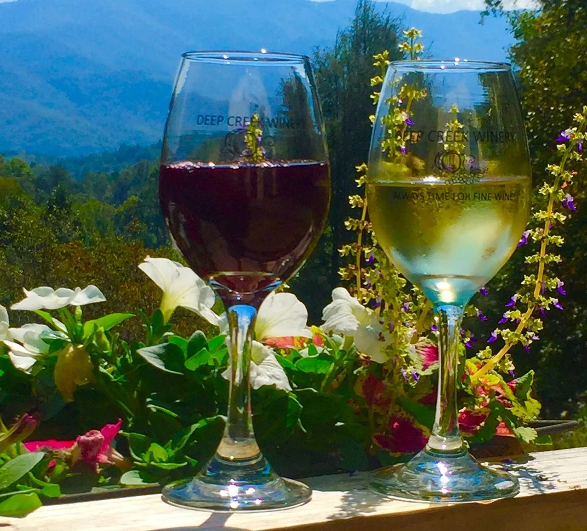 Deep Creek Winery