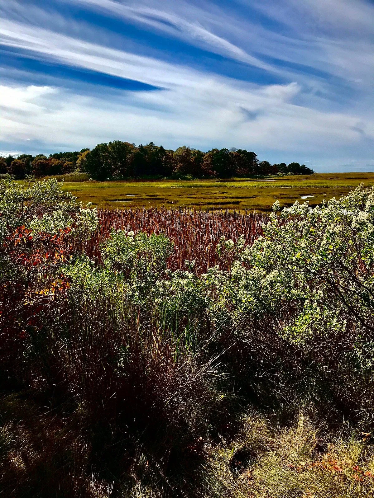 Mass Audubon Wellfleet Bay Wildlife Sanctuary