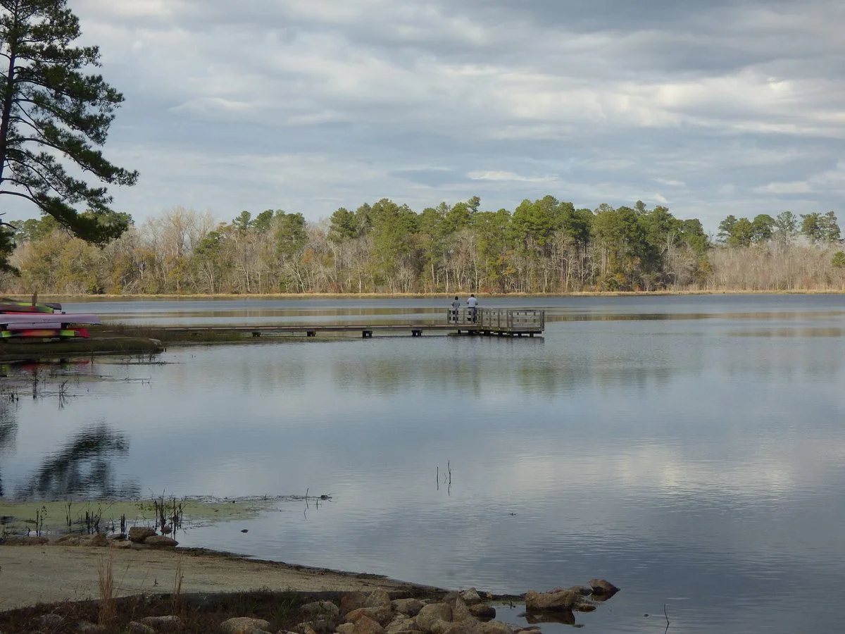 Little Pee Dee State Park
