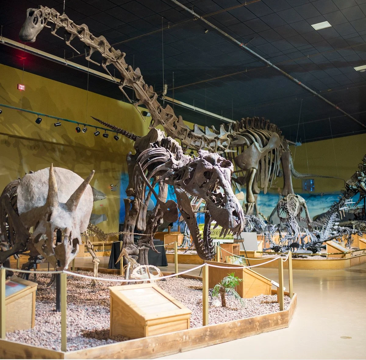 Wyoming Dinosaur Center