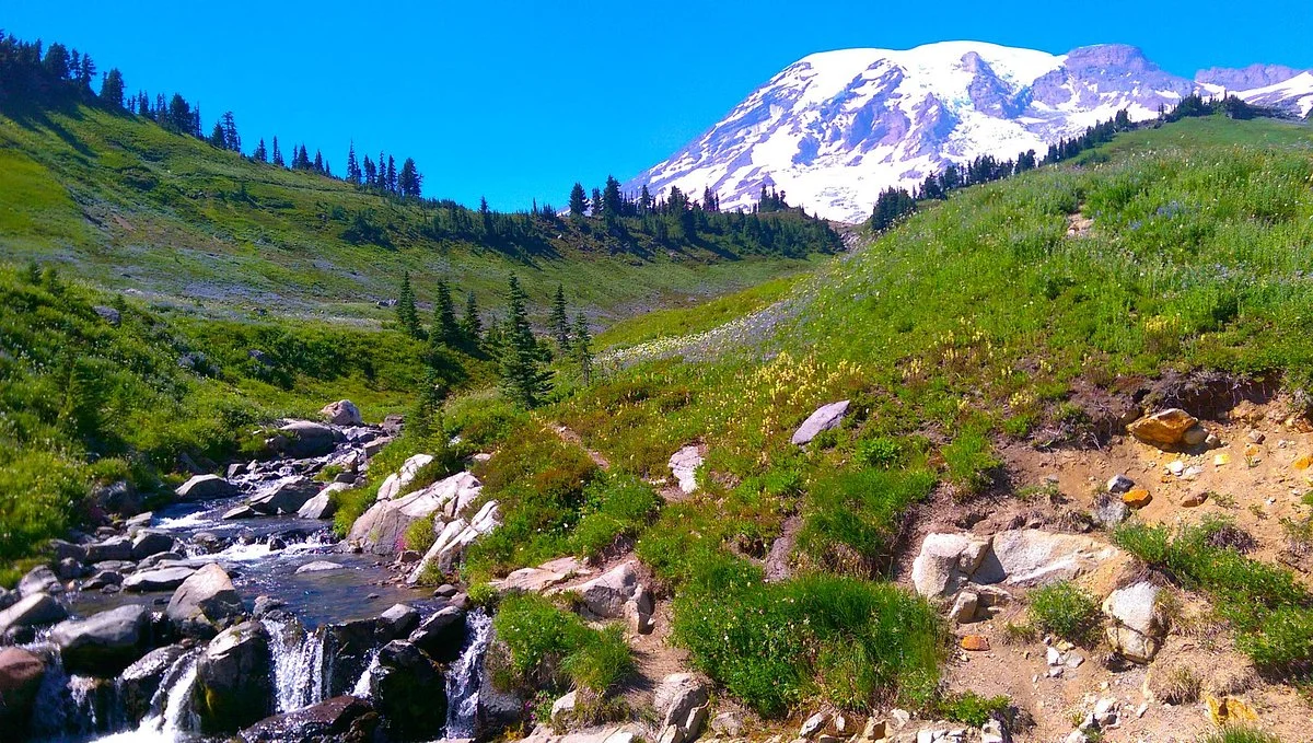 Skyline Trail