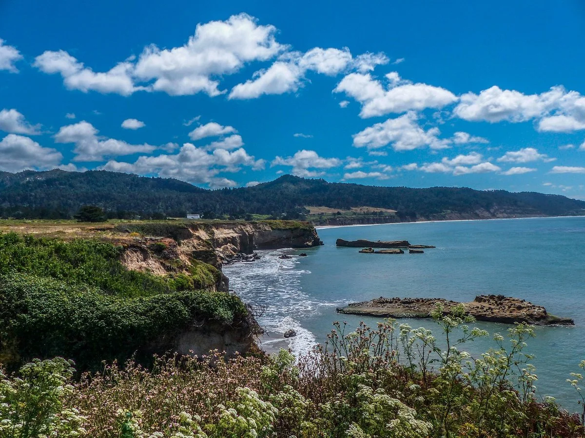 Año Nuevo State Reserve