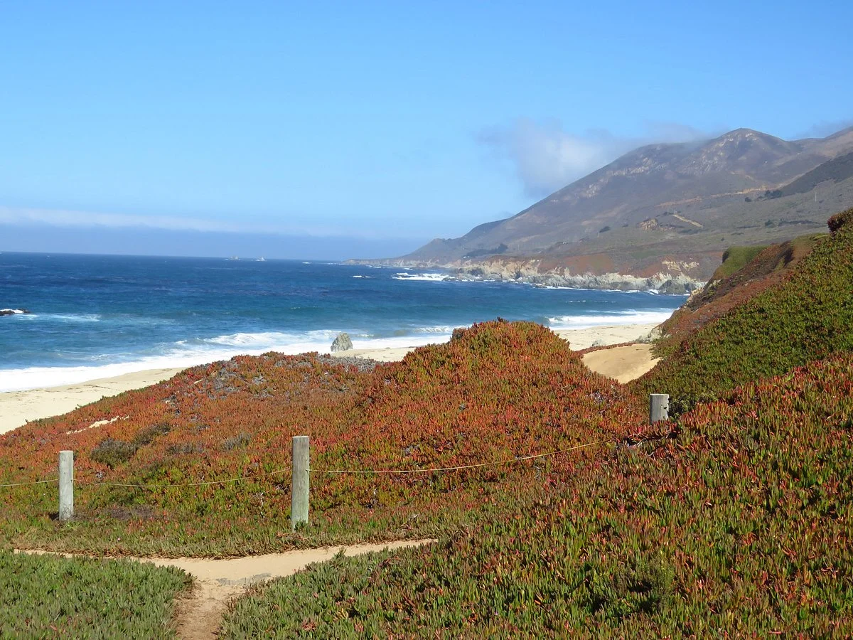 Garrapata State Park