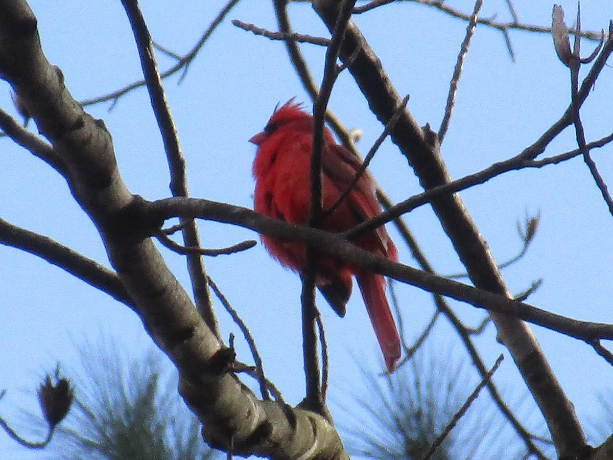 Meadowside Nature Center