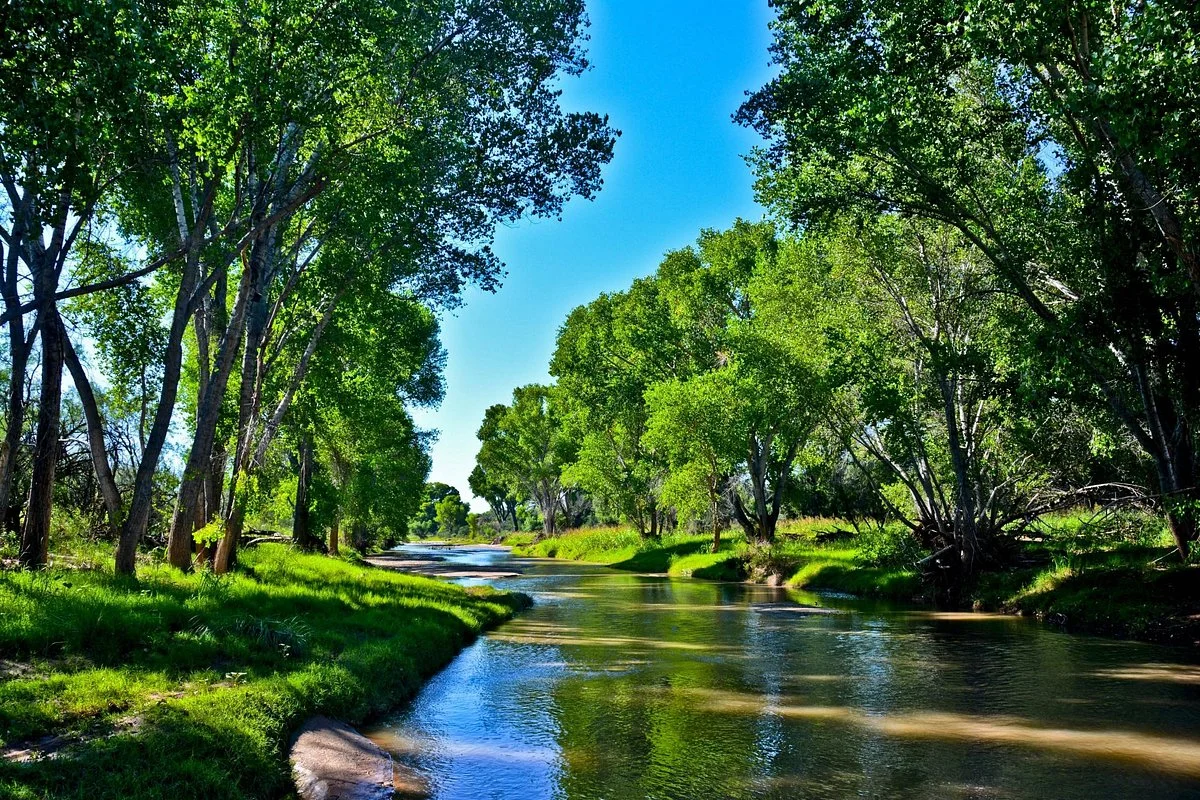 San Pedro Riparian National Conservation Area